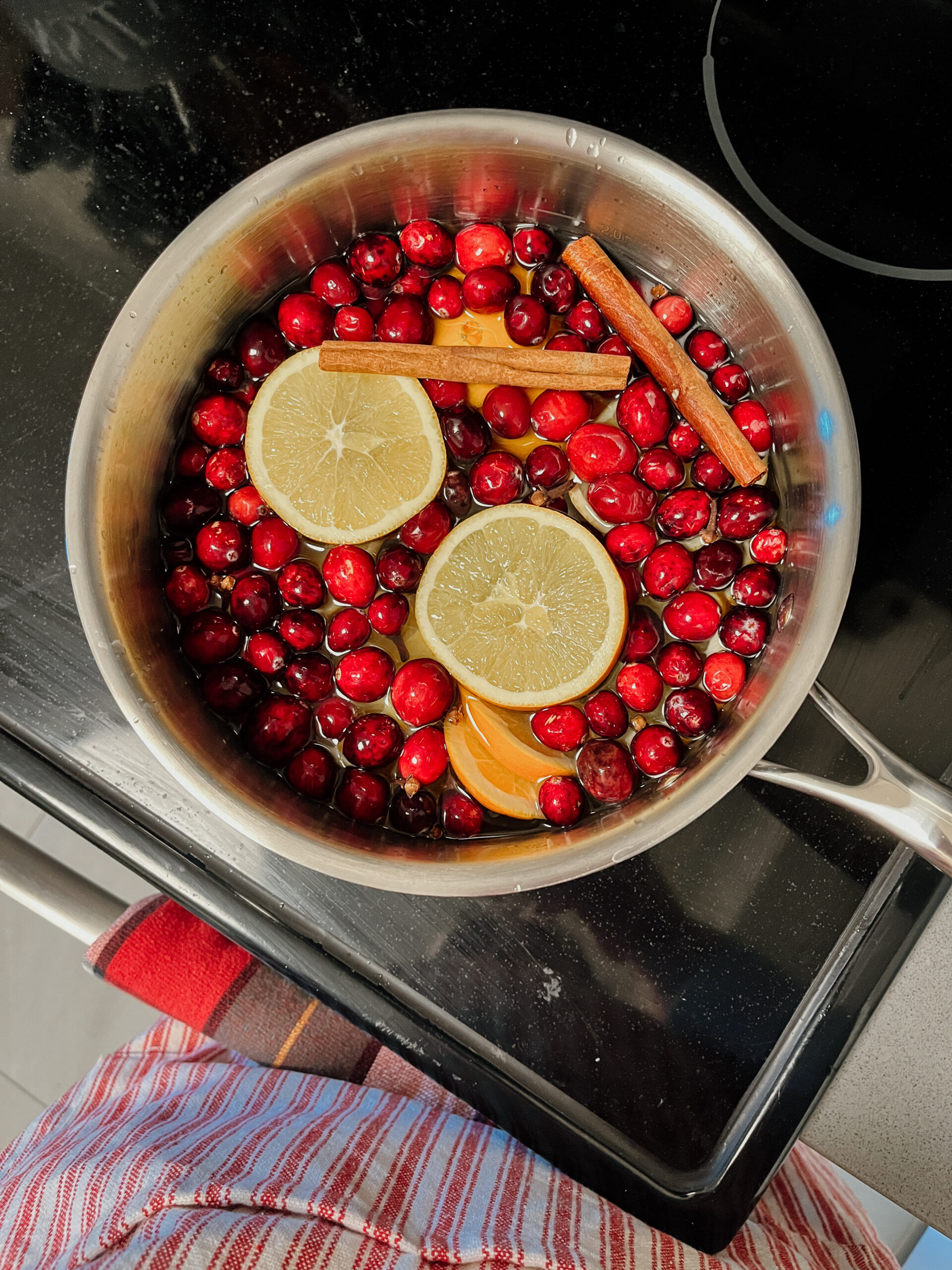 Holiday Simmer Pot