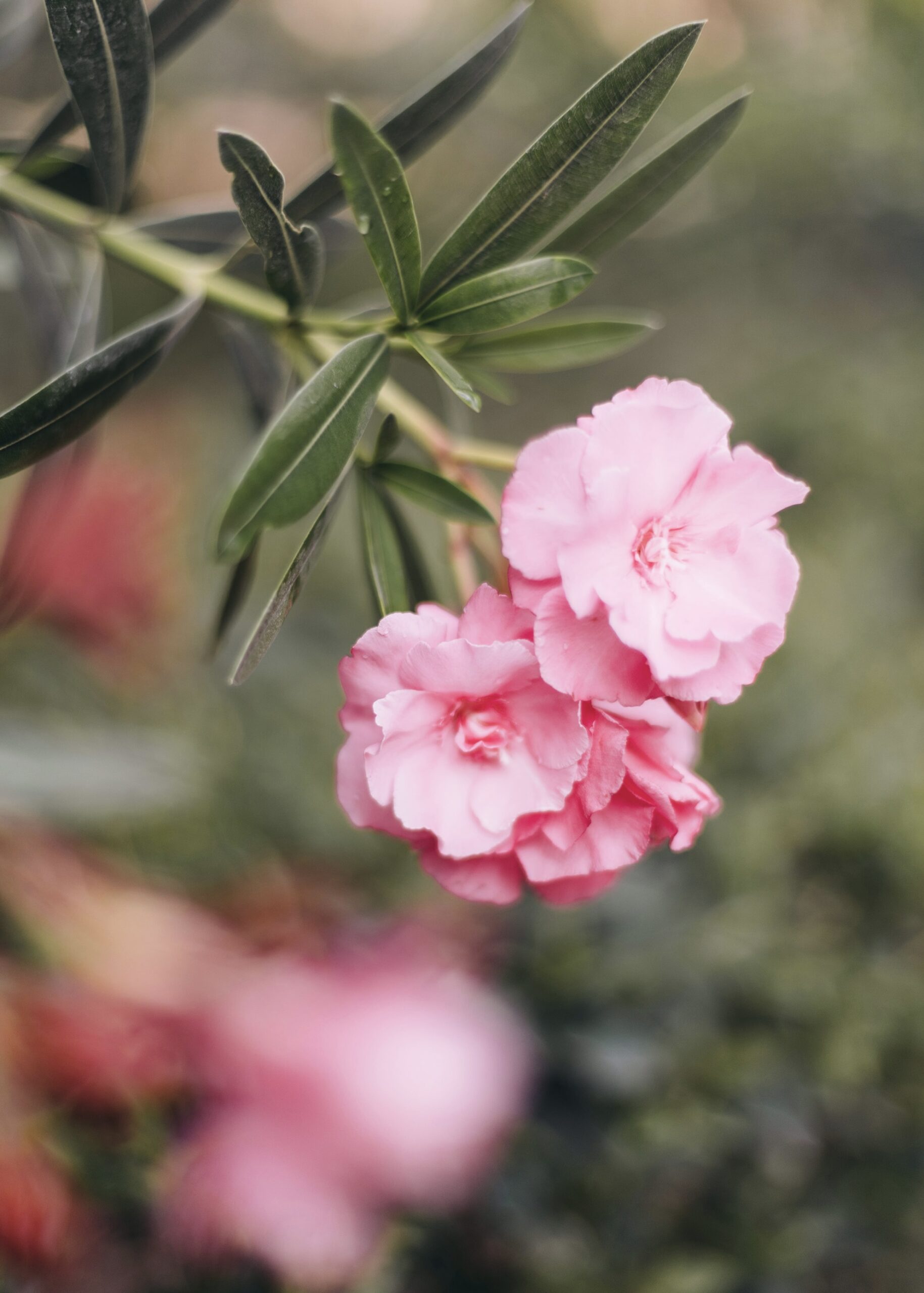 Mother’s Day 2025 Gift Guide