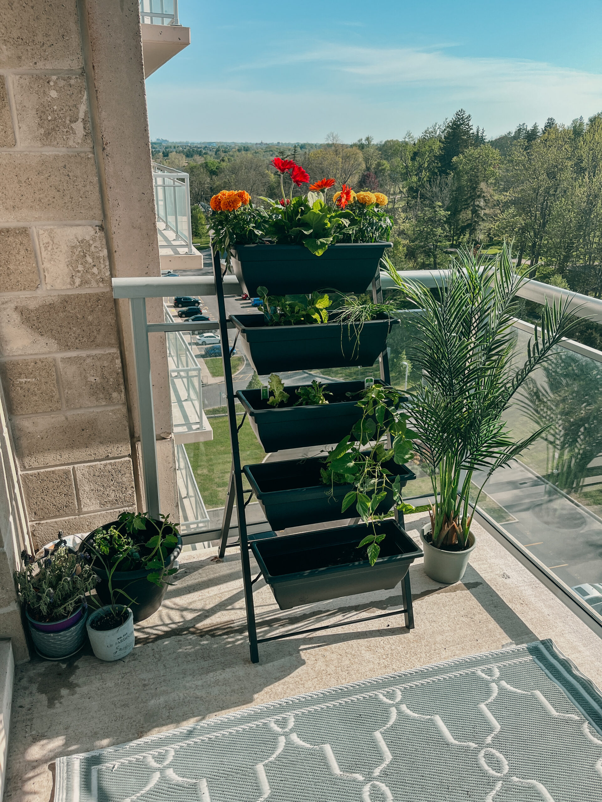 My Balcony Garden