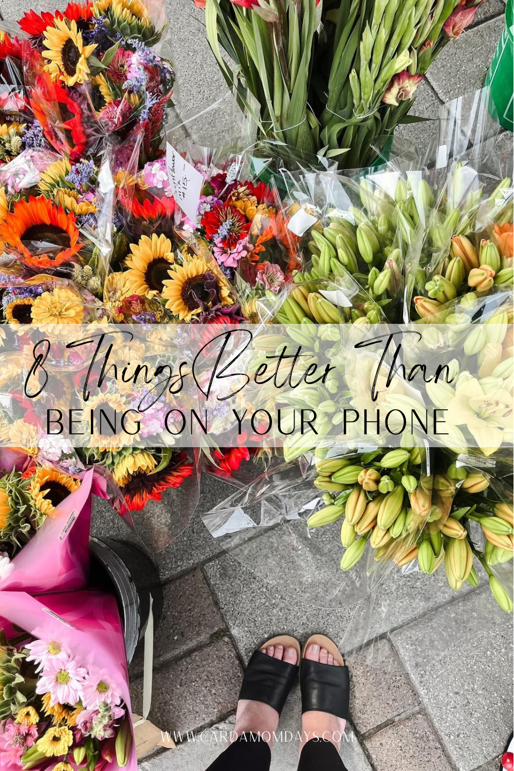 8 Things Better Than Being on Your Phone