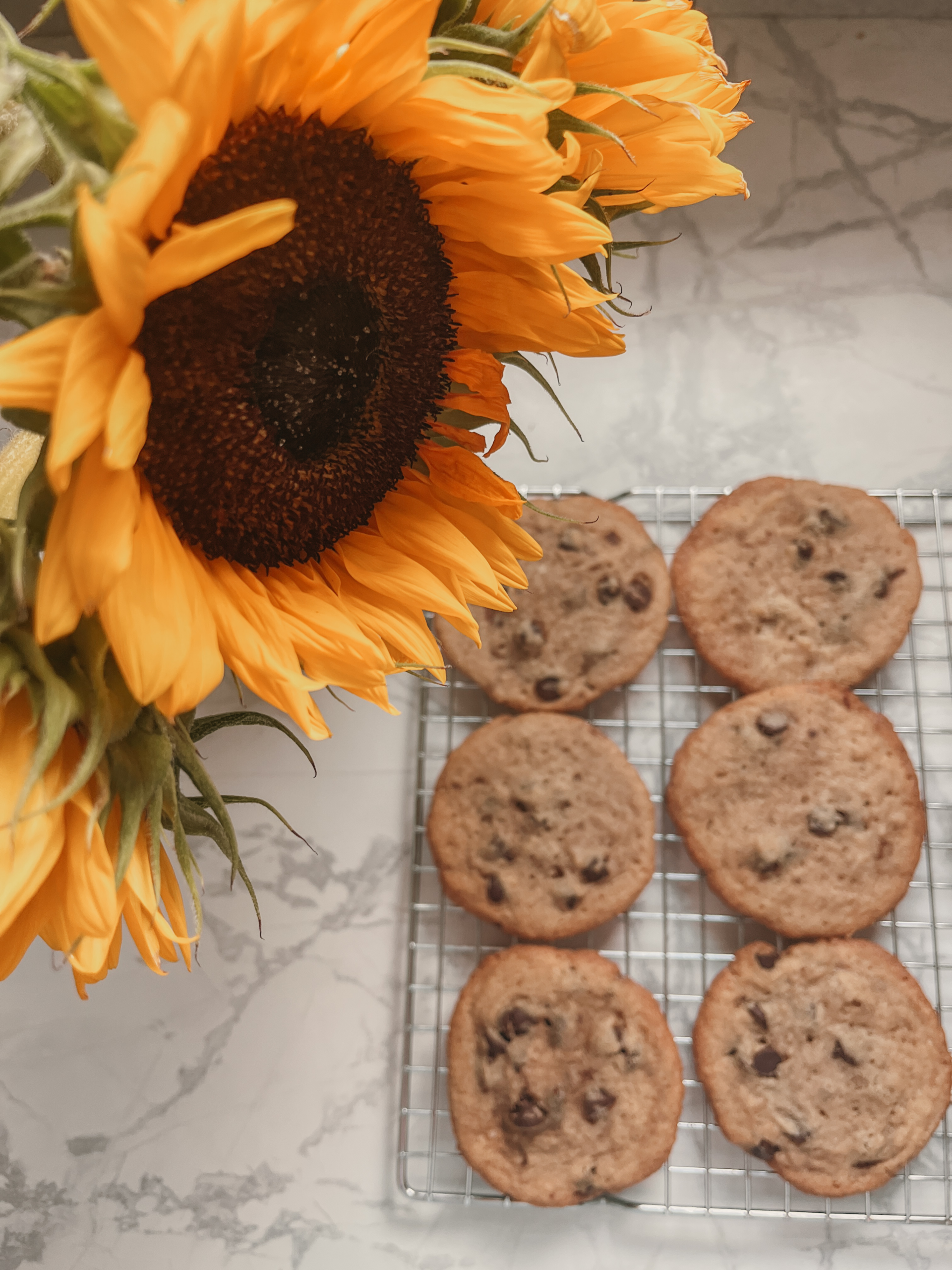 The Ultimate Chocolate Chip Cookie