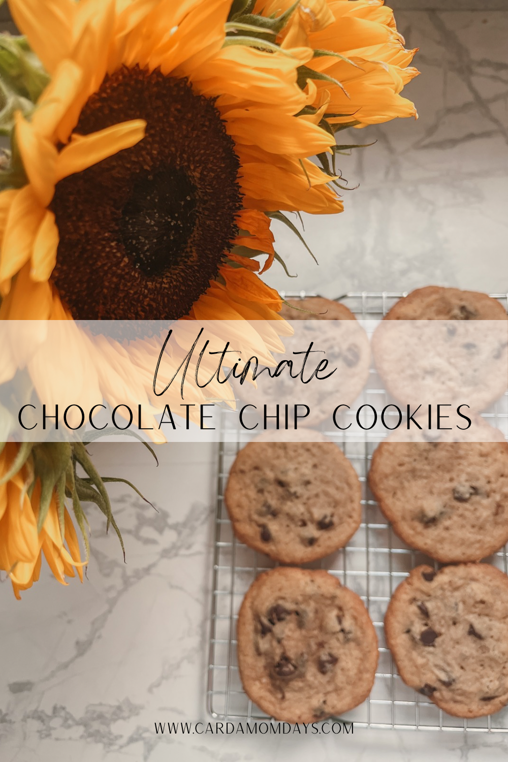 The Ultimate Chocolate Chip Cookie