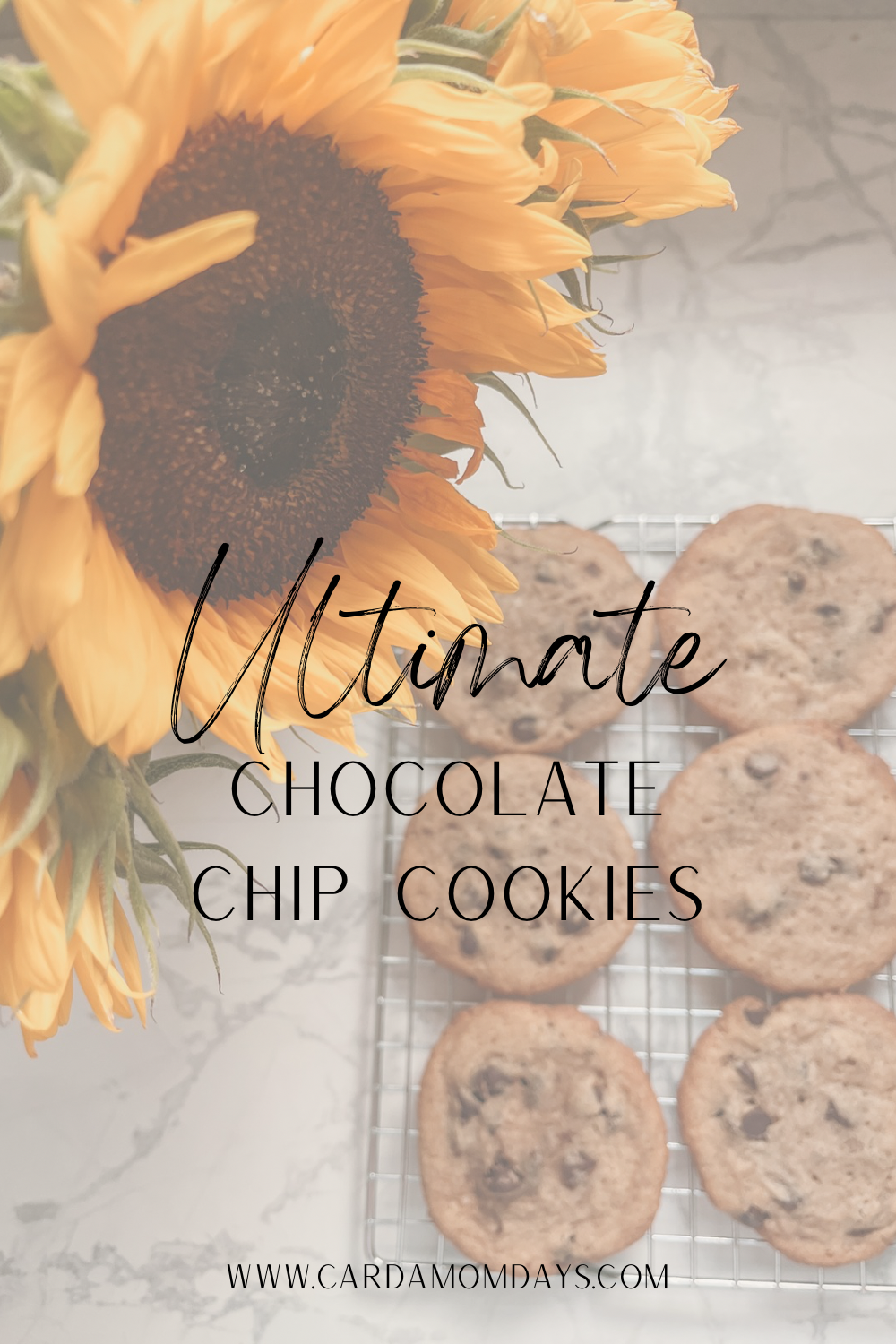 The Ultimate Chocolate Chip Cookie